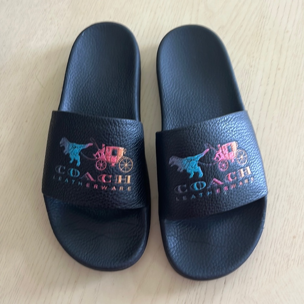 Coach x rexy slides